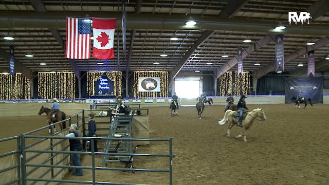 2024 Arabian Nationals - Mustang - Th...