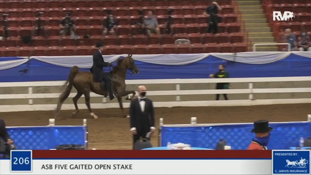 2020 BR - Class 206 ASB Five Gaited O...