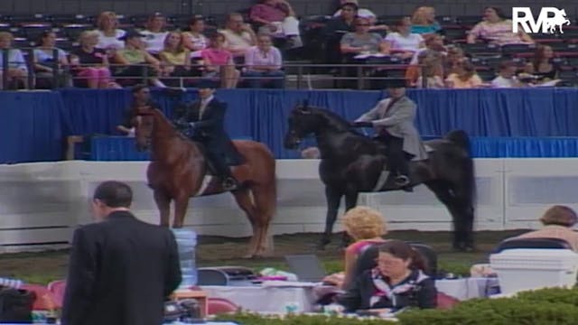 2004 World's Championship Horse Show ...