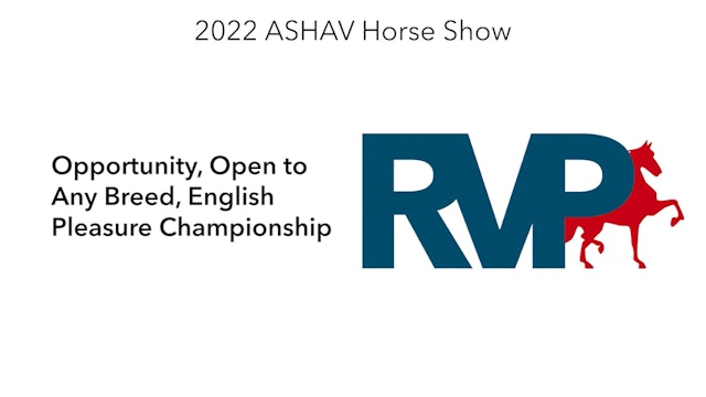 ASHAV22 - Class 87 - Opportunity, Open to Any Breed, English Pleasure Championship