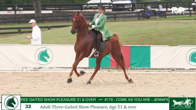 LJL24 - Class 32 - Adult Three Gaited...