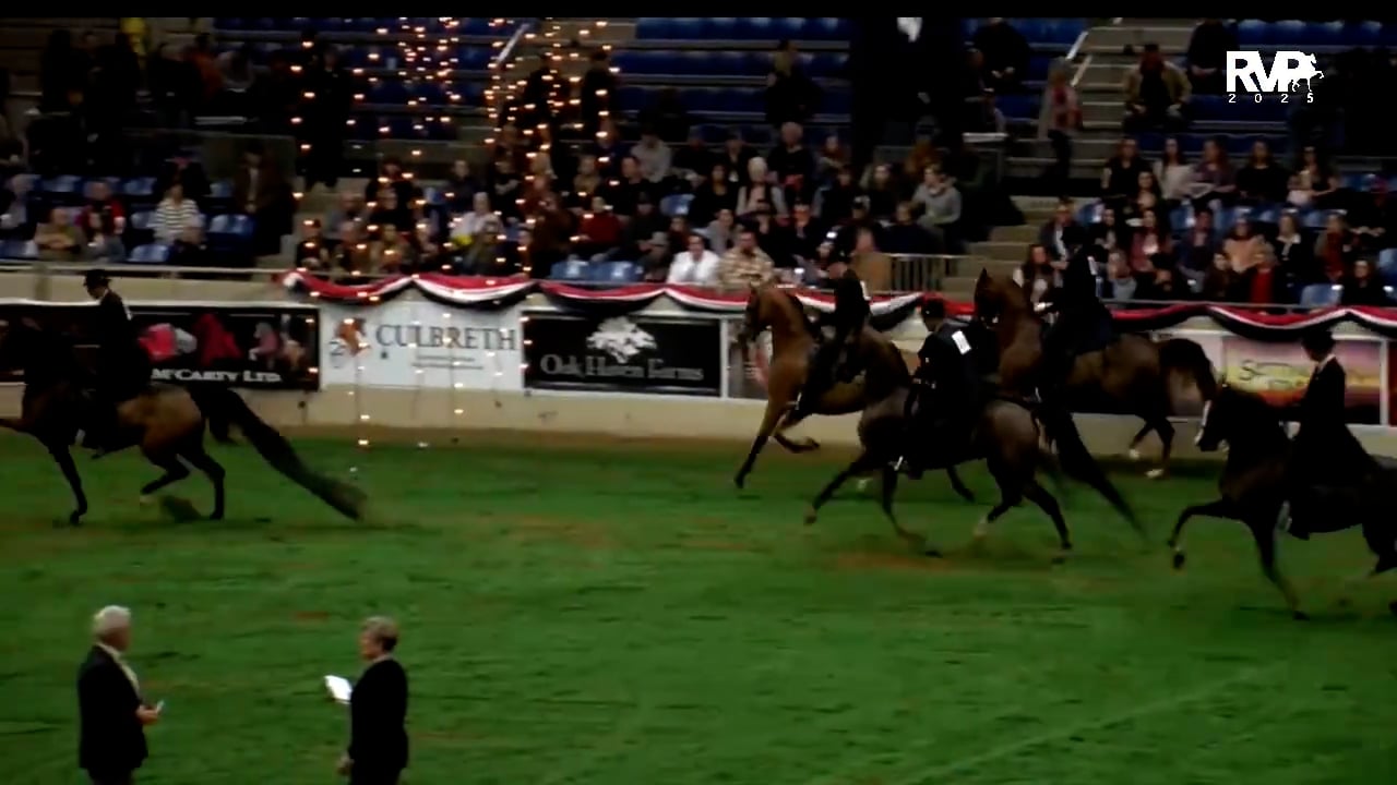 2025 Arabian Nationals - First Saturd...