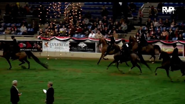 2025 Arabian Nationals - First Saturd...