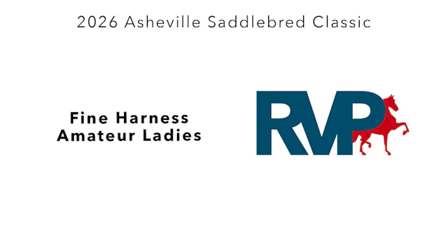 ASC26 - Class 21 - Fine Harness Amate...