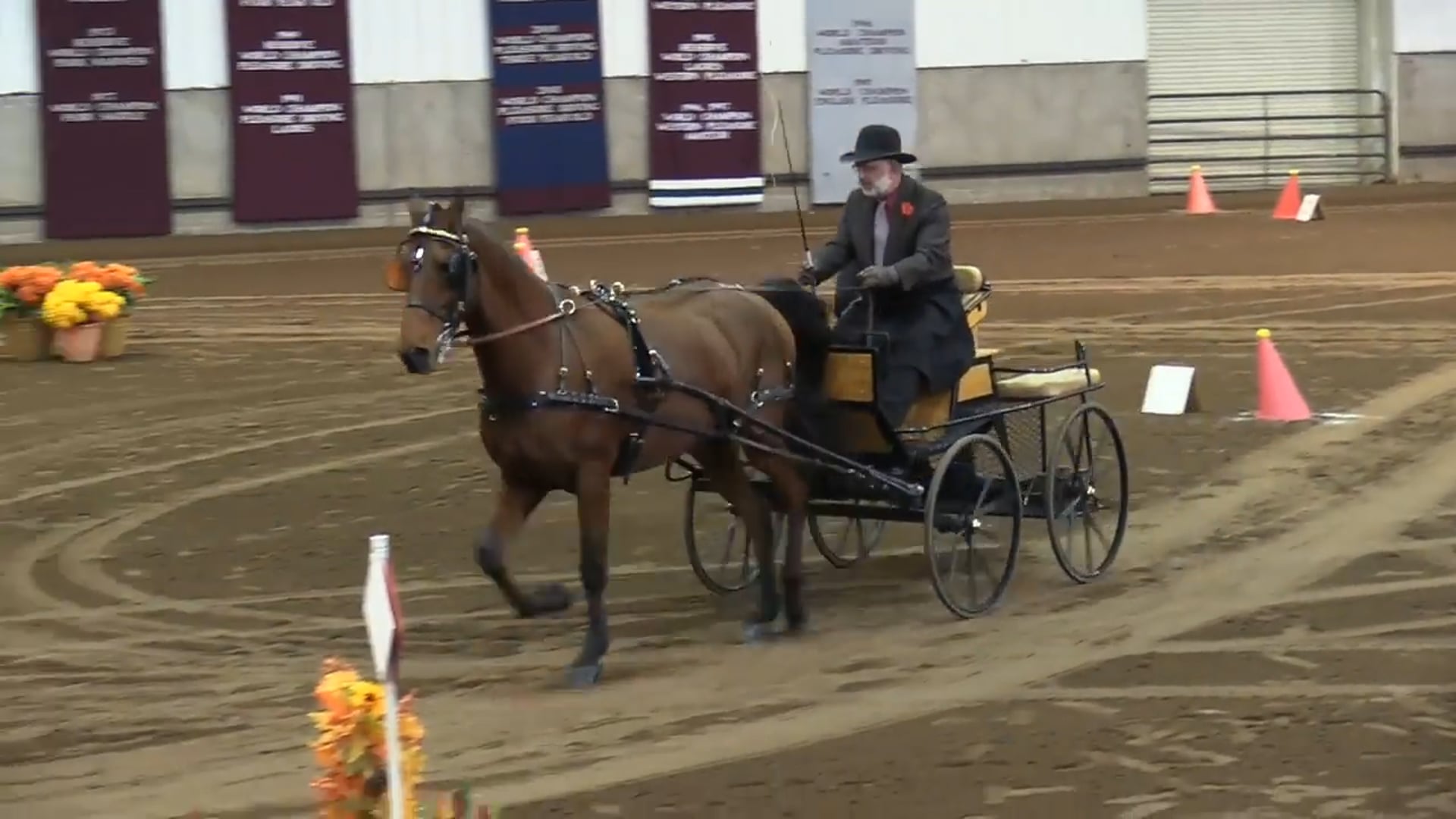 2017 MGN - Sport Horse 1 - Wednesday Afternoon