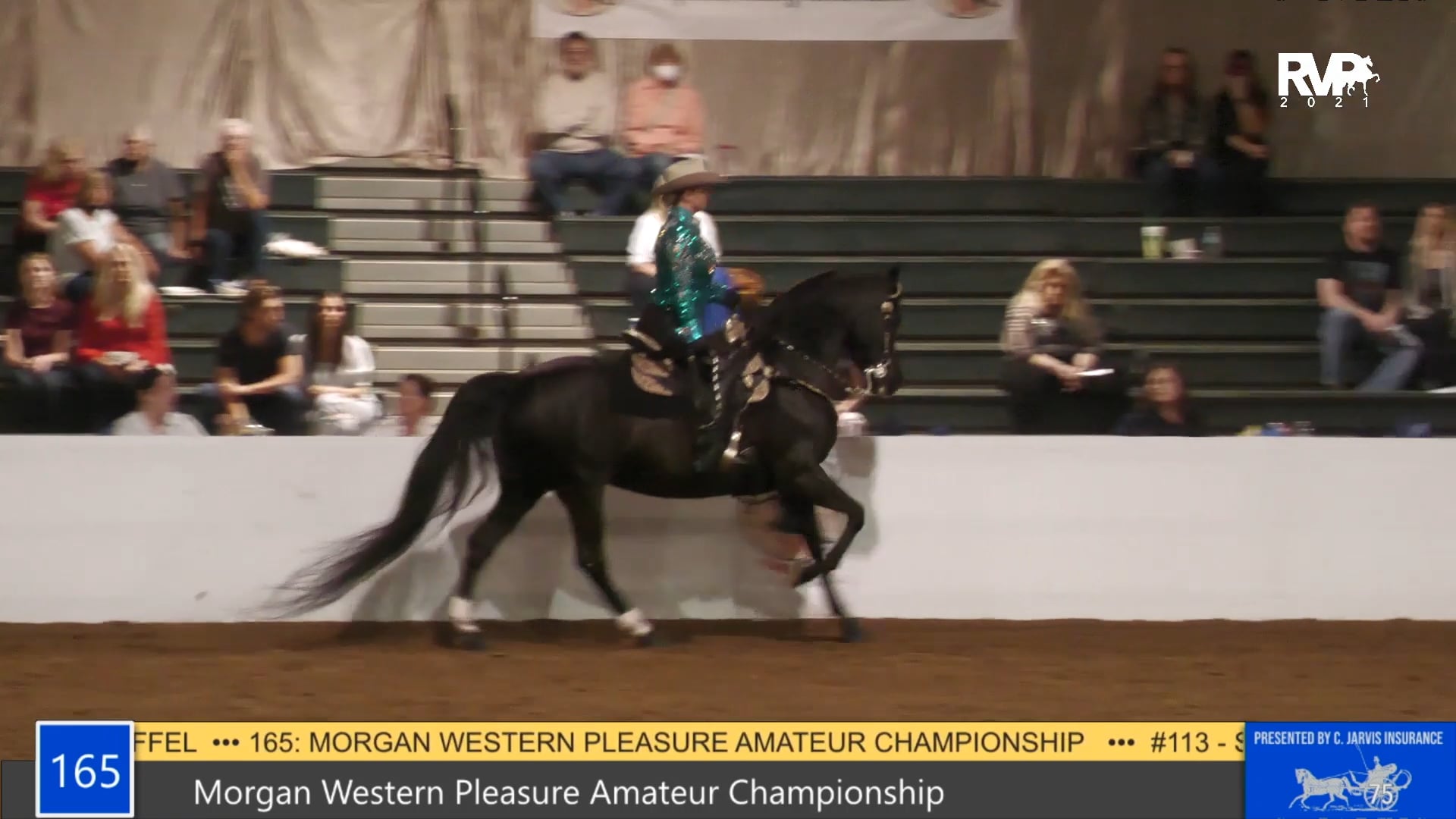 GASP21 - Class 165 - Morgan Western Pleasure Amateur Championship