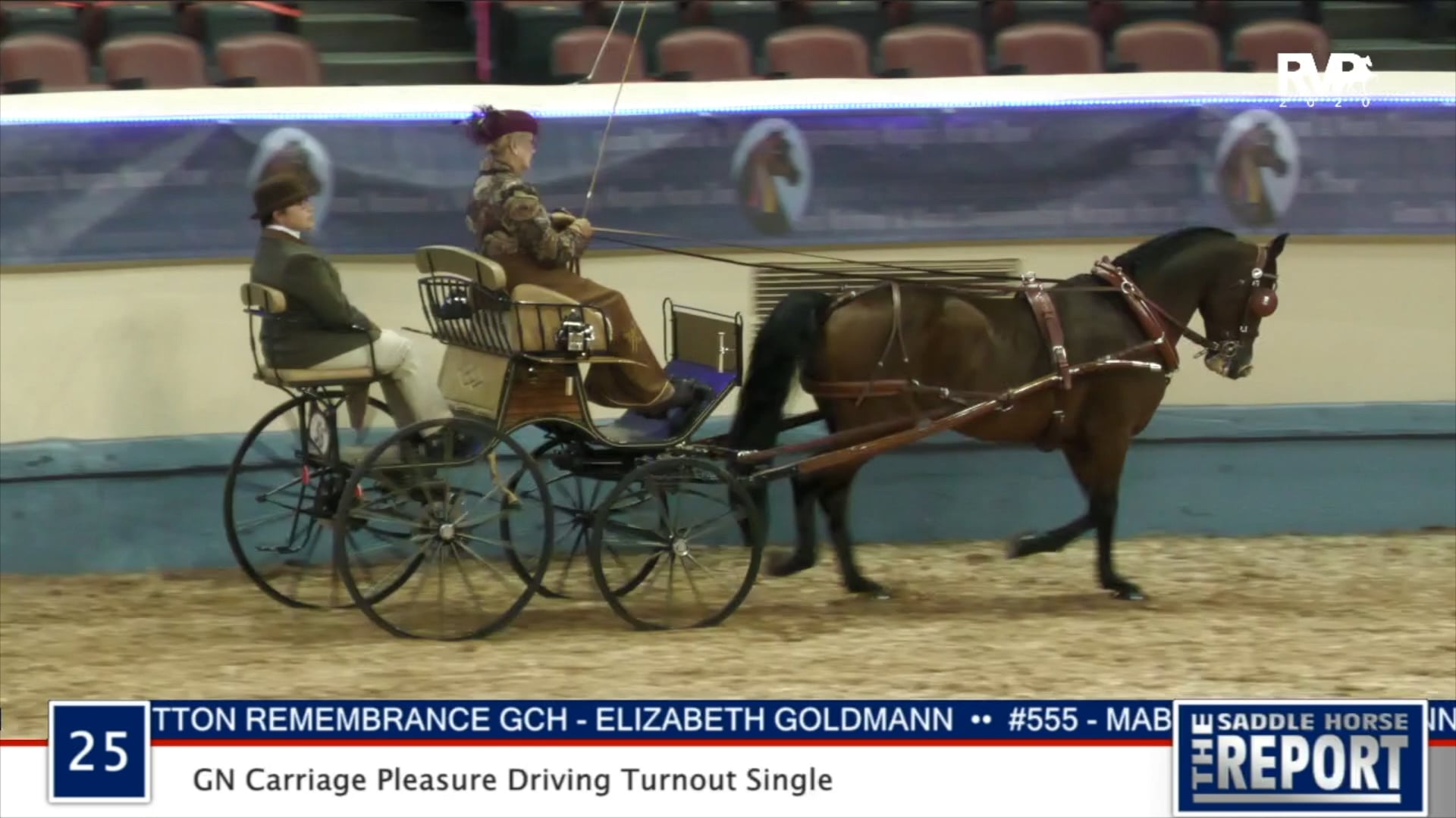 2020 MGN - Class 25 GN Carriage Pleasure Driving Turnout Single