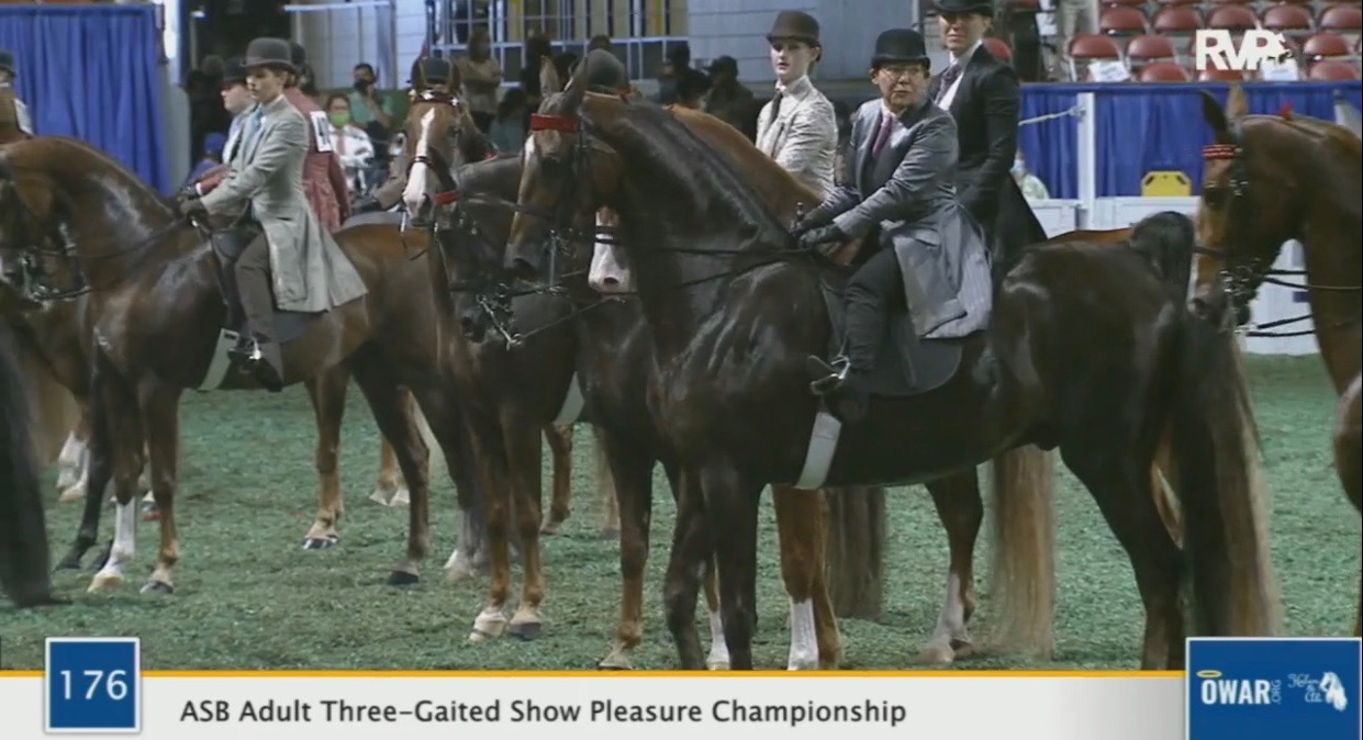 WCHS 2020 Class 176 - ASB Adult Three-Gaited Show Pleasure Championship