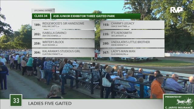 2016 RC - Class 33 Ladies Five Gaited 