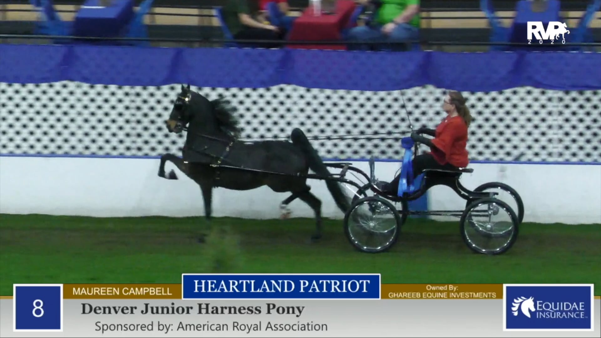 2020 AR - Class 8 Denver Junior Harness Pony 