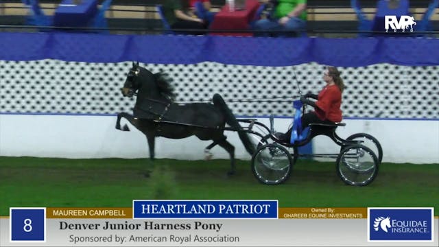 2020 AR - Class 8 Denver Junior Harne...