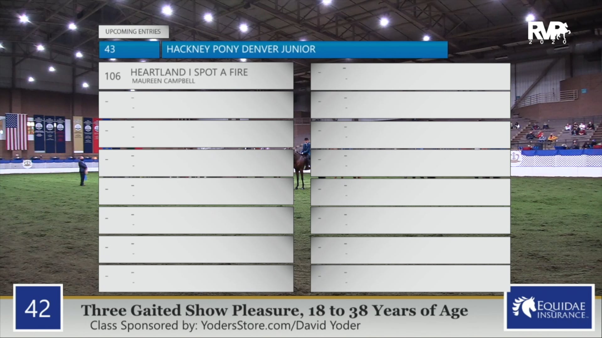 2020 AR - Class 42 Three Gaited Show Pleasure
Rider 18 - 38 Years of Age