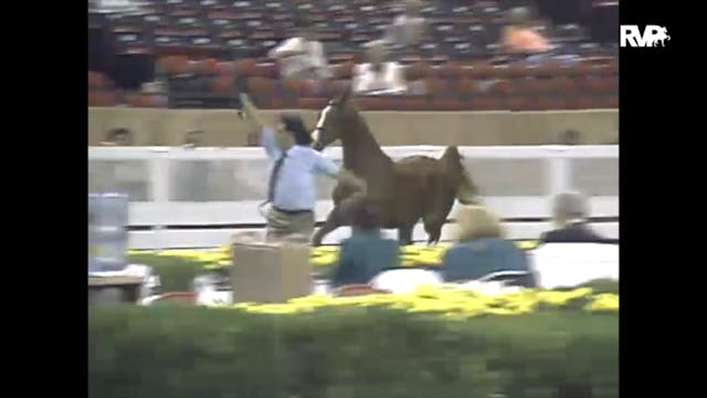 1988 WCHS Class 63 ASHA Kentucky Futu...