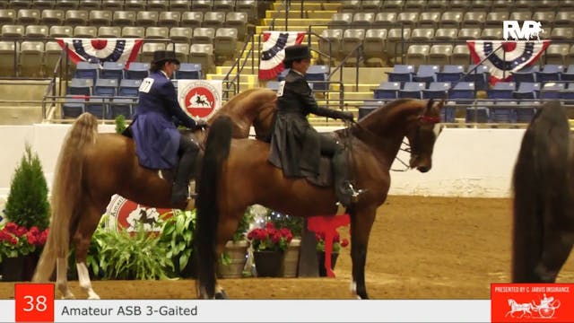 ASHAV23 - Class 38 - ASB Three Gaited...