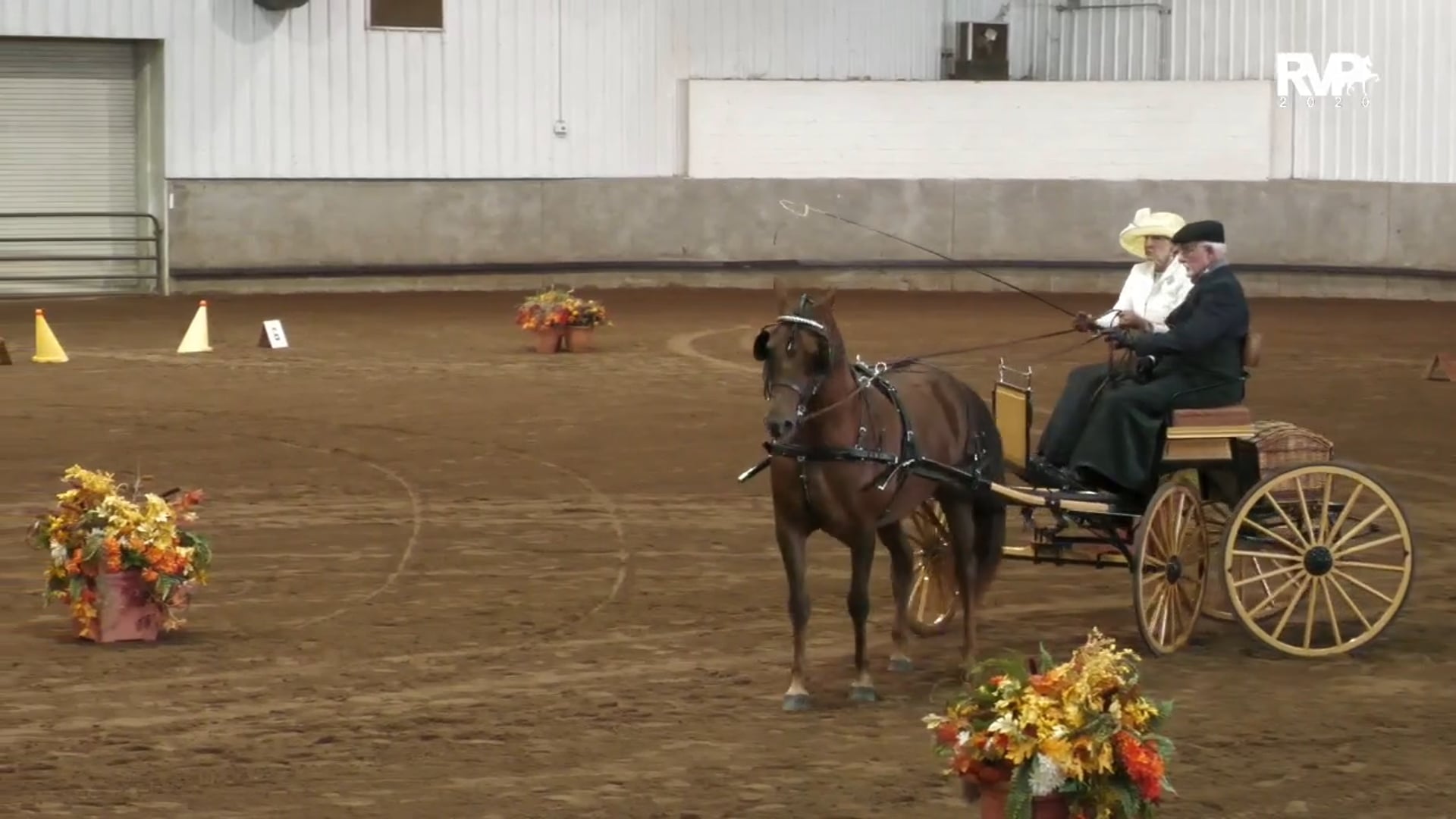 2020 MGN - 10:14 - Wednesday Afternoon - Barn 8 Arena