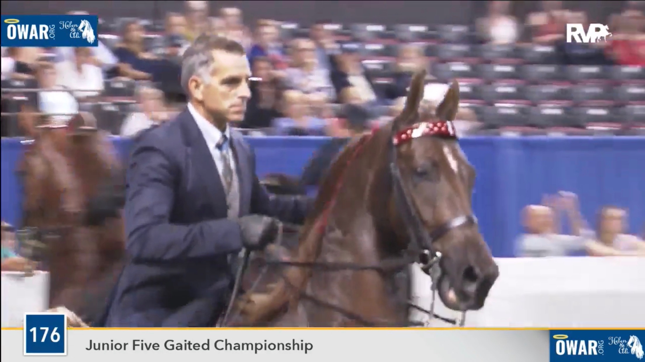 Looking Back: Junior World Champions