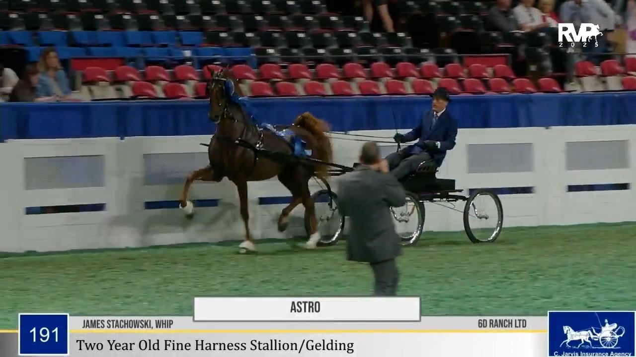 2025 World's Championship Horse Show - Saturday Morning