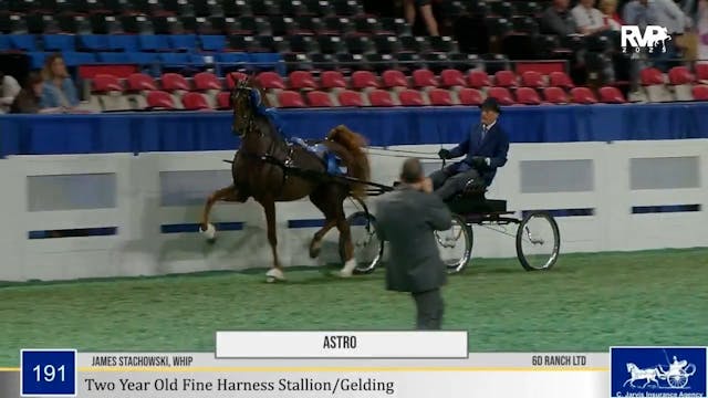 2025 World's Championship Horse Show ...