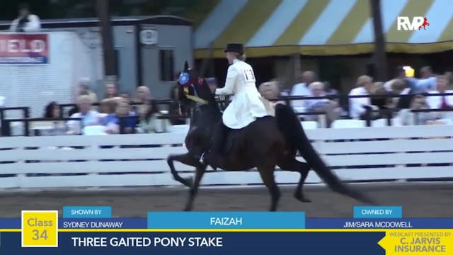 2015 RC - Class 34 Three Gaited Pony ...