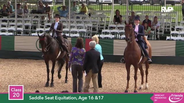 2015 LJL - Class 20 Saddle Seat Equit...