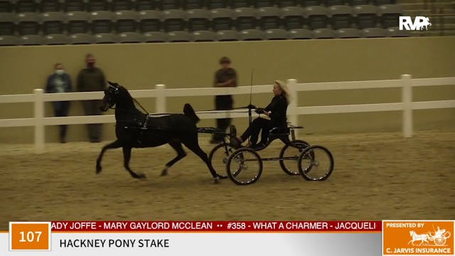 KFC 2020 - Class 107 Hackney Pony Stake 