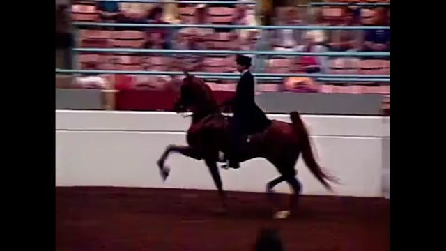 1990 Illinois State Fair - Junior Thr...