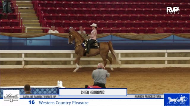 2024 Asheville Saddlebred Classic - T...