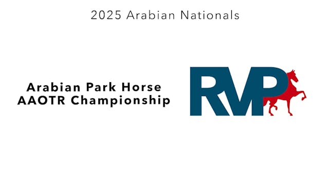 AN25 - Class 64 - Arabian Park Horse ...