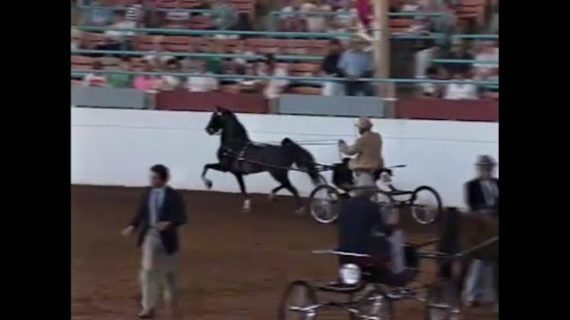 1990 Illinois State Fair - Harness Po...