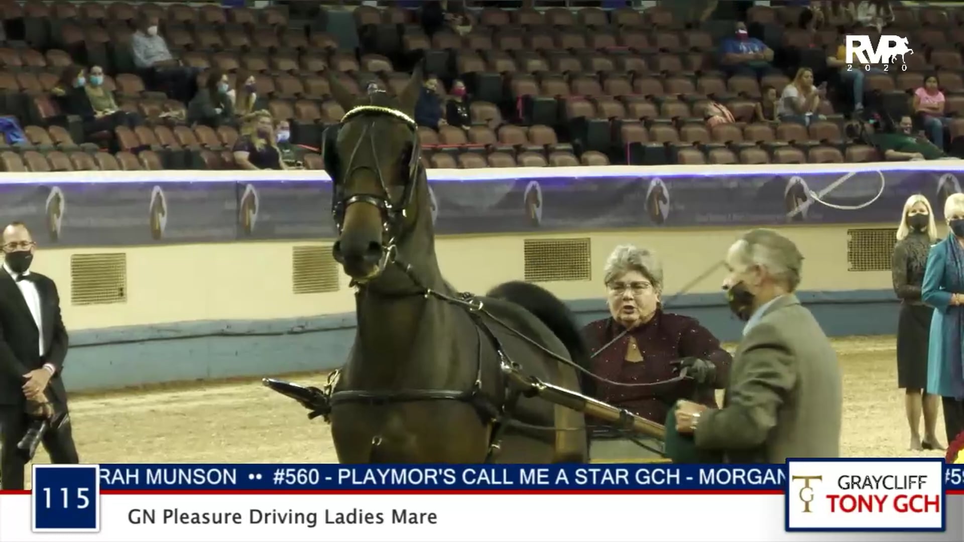 2020 MGN - 115 GN Pleasure Driving Ladies Mare