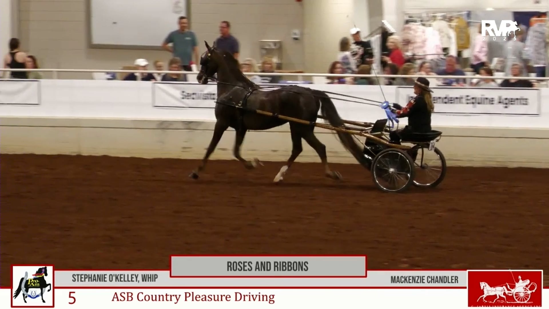 2025 Pro-AM - Thursday Morning 