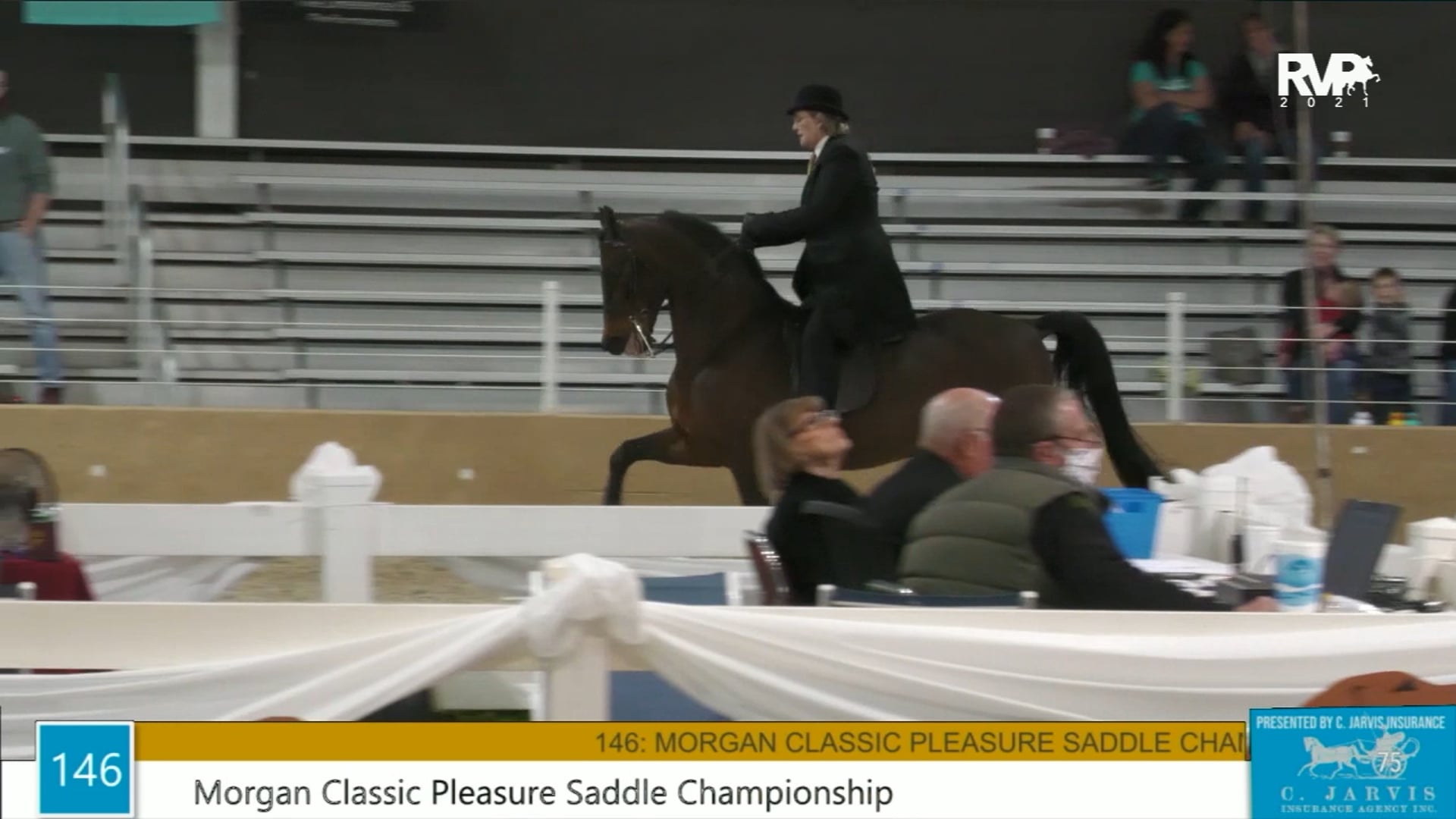 BS21 - Class 146 - Morgan Classic Pleasure Saddle Championship
