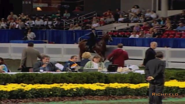 2002 WCHS Class 61 Saddle Seat Equita...
