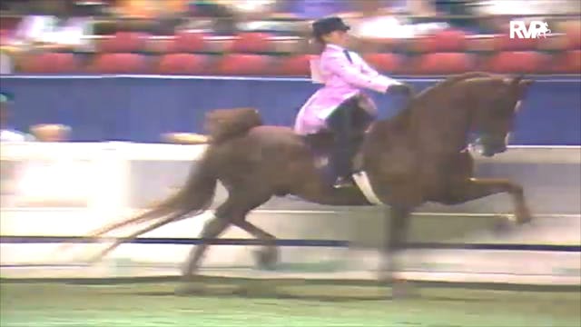 1992 WCHS Class 100 Three Gaited Pony...