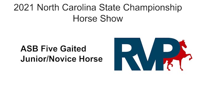 NCSC21 - Class 73 - ASB Five Gaited J...