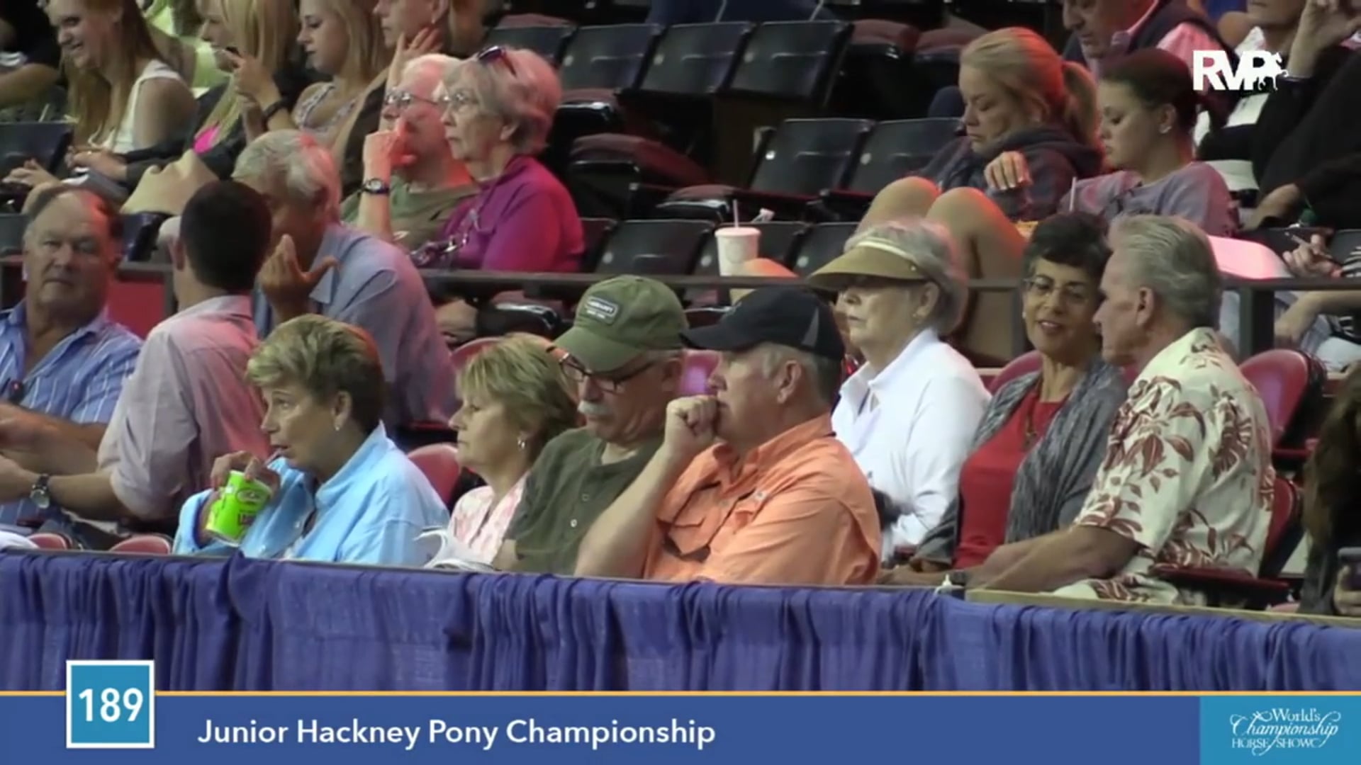 2015 WCHS - Class 189 Junior Hackney Pony Championship