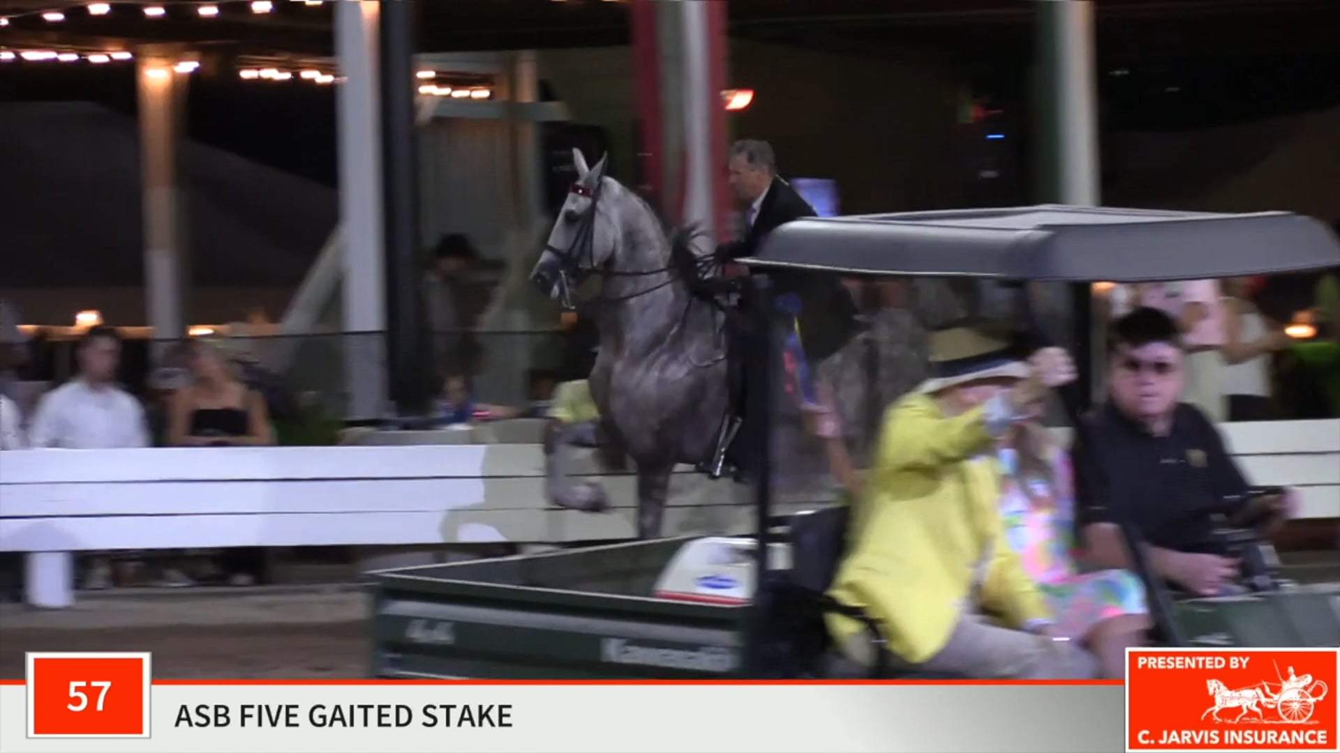 SHS19 - Class 57 - Miss Meredith Grey