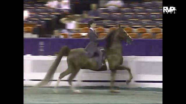 1999 WCHS - Class 68 Equitation Open ...