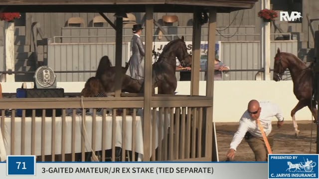 KYSP20 - Class 71 Three Gaited Amateu...