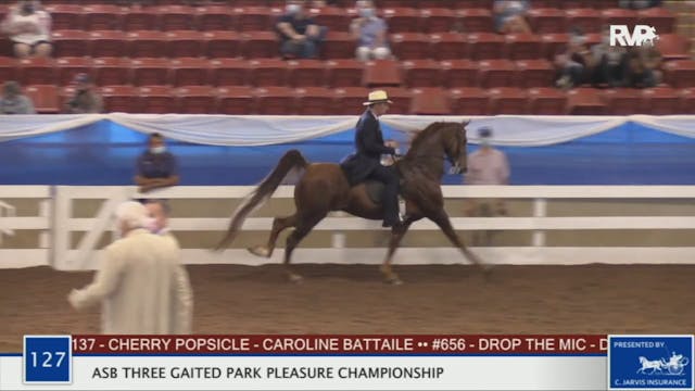 BR20 - Class 127 ASB Three Gaited Par...