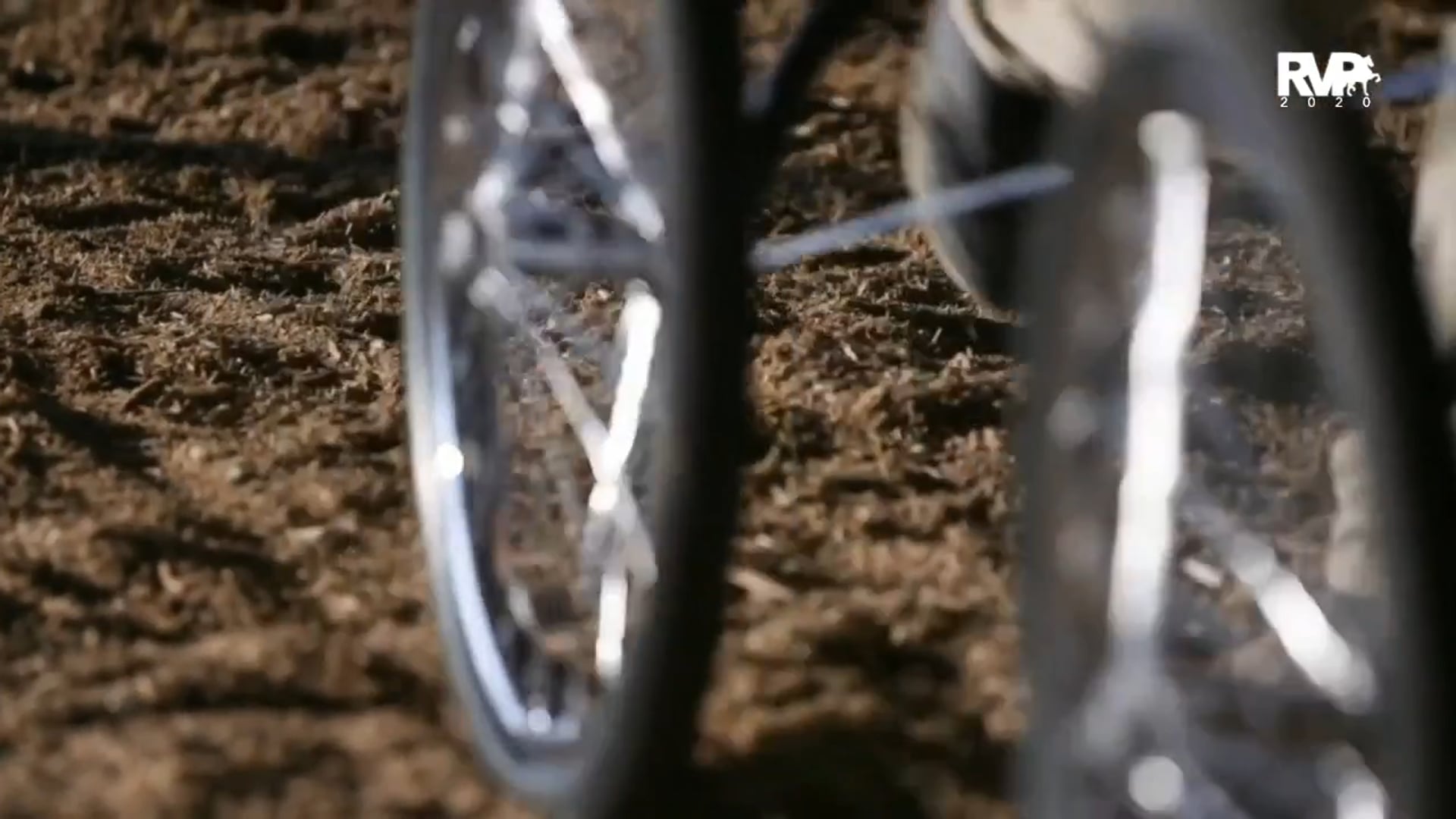 2020 MGN - 10:12 - Monday Morning - Performance