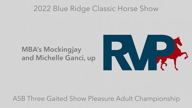 BR22 - Class 212 - MBA’s Mockingjay a...