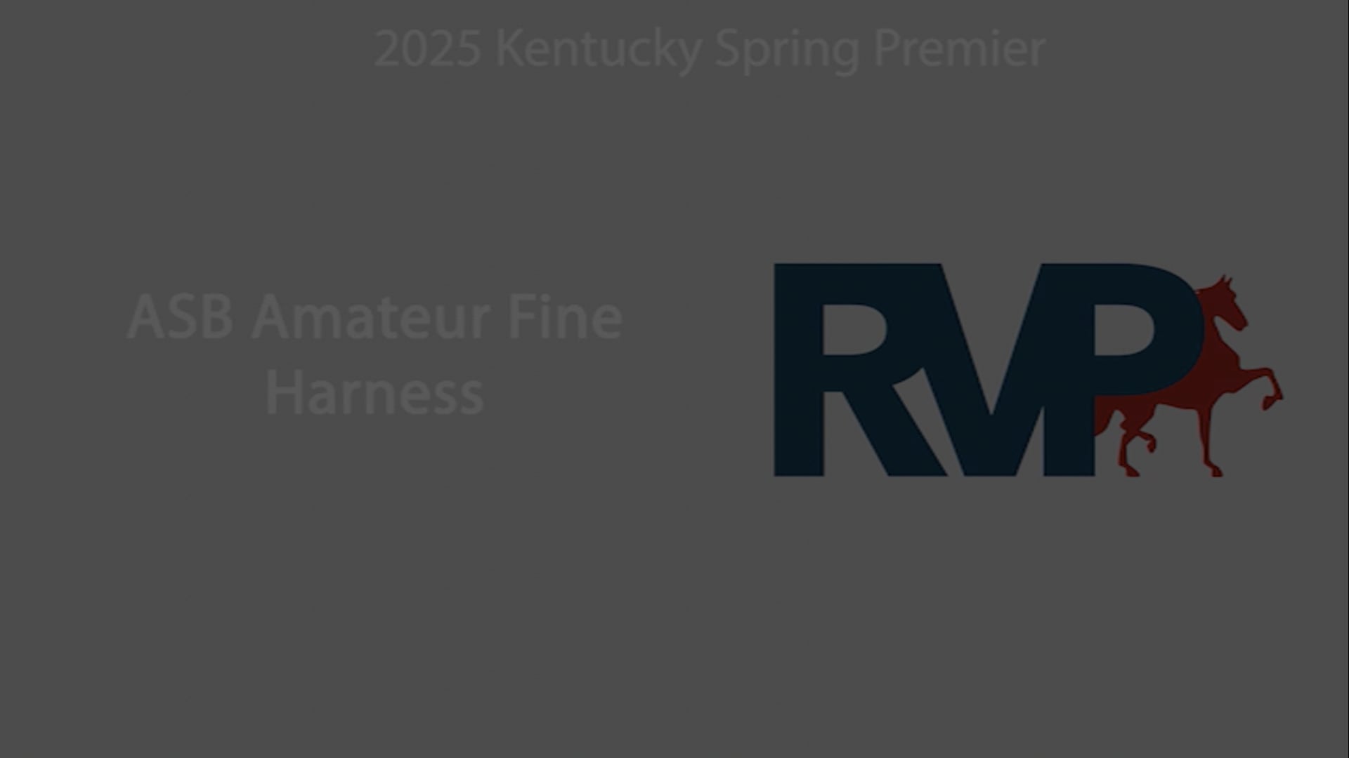 KYSP25 - Class 16 - ASB Amateur Fine Harness 