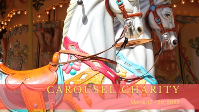 2022 Carousel Charity Horse Show - Sunday Academy