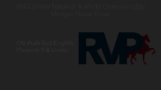 MGN23 - Class 75 - GN Walk-Trot Engli...