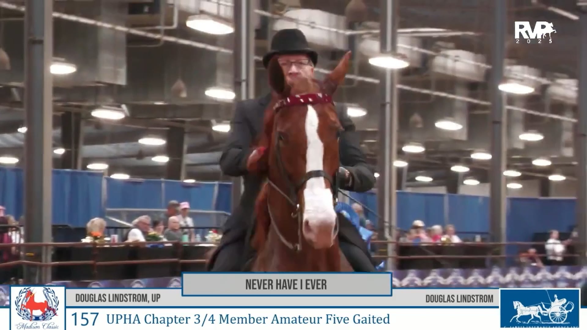 MC25 - Class 157 - UPHA Chapter 3-4 Member Amateur Five Gaited