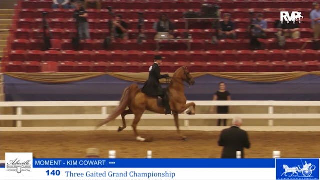 ASC24 - Class 140 - Three Gaited Gran...