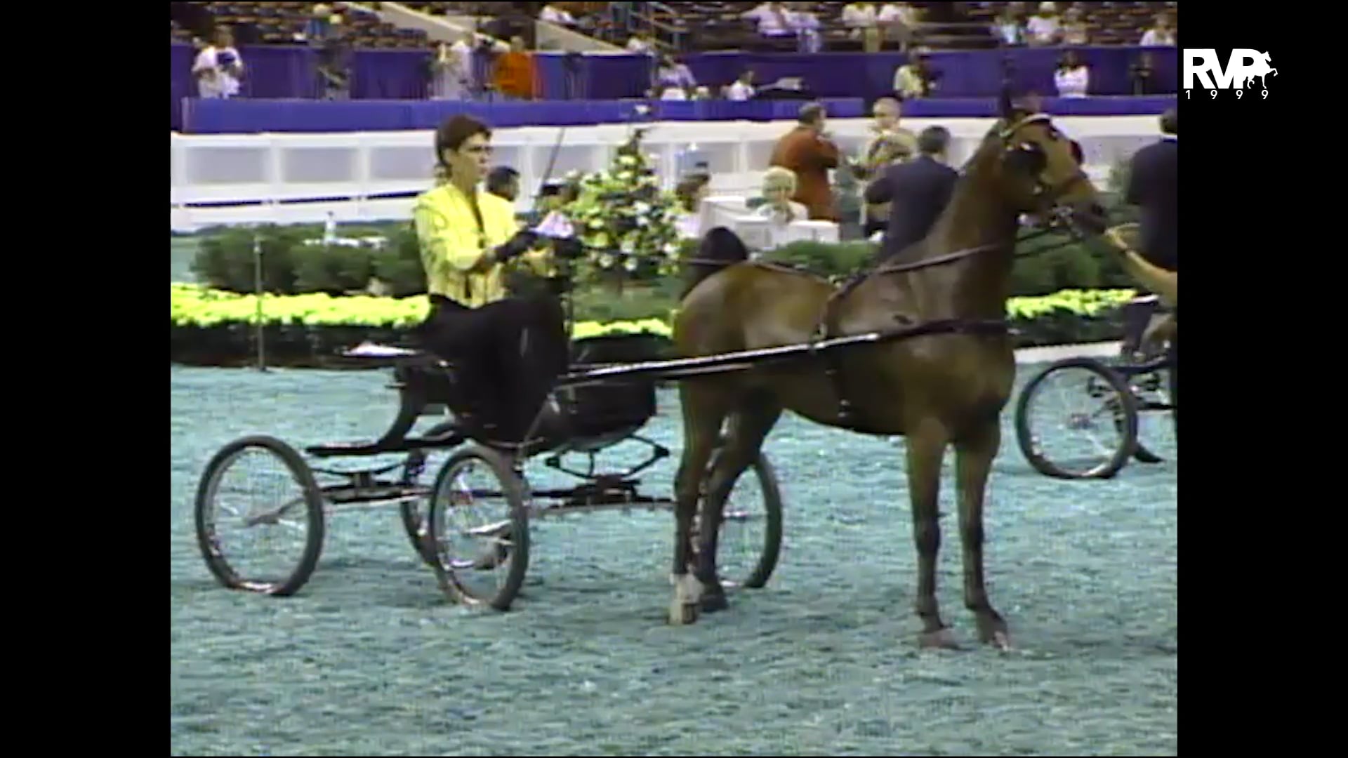 1999 WCHS - Class 22 Kentucky County Fair Hackney Pony Championship