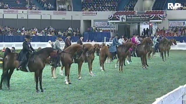 2010 World's Championship Horse Show ...