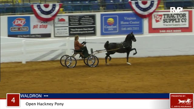 ASHAV 2020 - Class 4 Open Hackney Pony